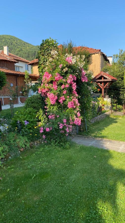 Guest House Simona Sapareva Banya Bagian luar foto